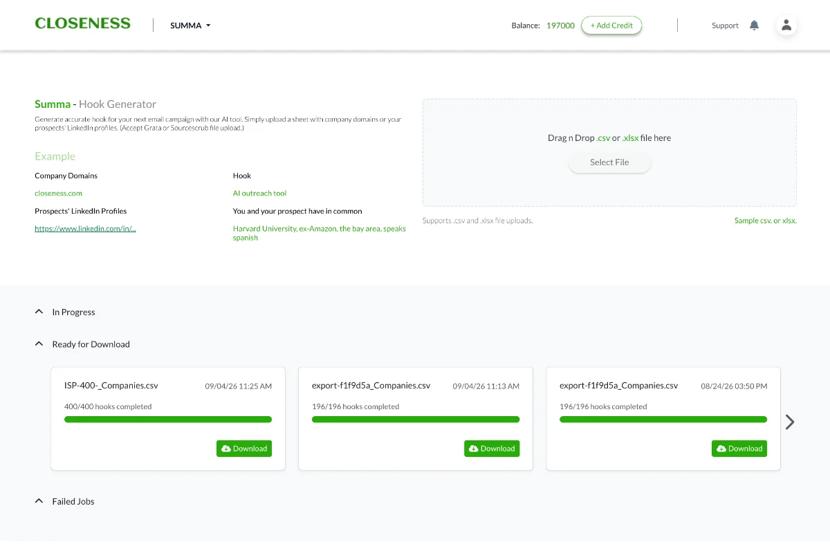 Hook Generator — upload a list of domains or LinkedIn profiles, get it back populated with researched hooks